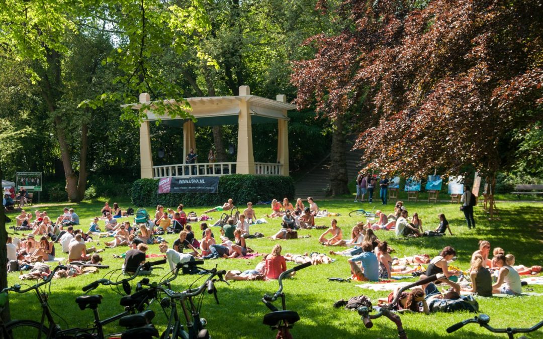 Picknick Groningen - blog met tips Groningen