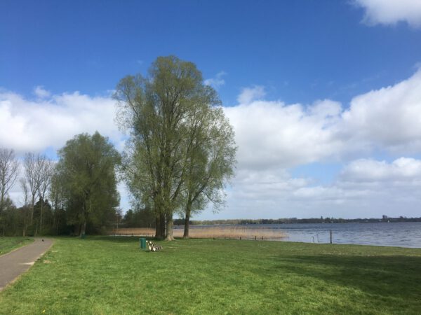 Hardlopen Groningen: Hardlooproute Paterswoldsemeer