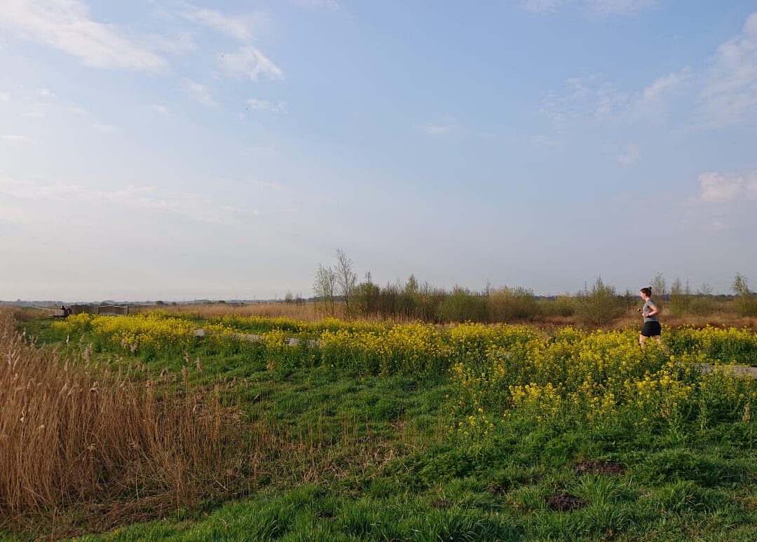 Hardlopen Groningen: 1 van de 5 leukste hardlooproutes is in De Onlanden