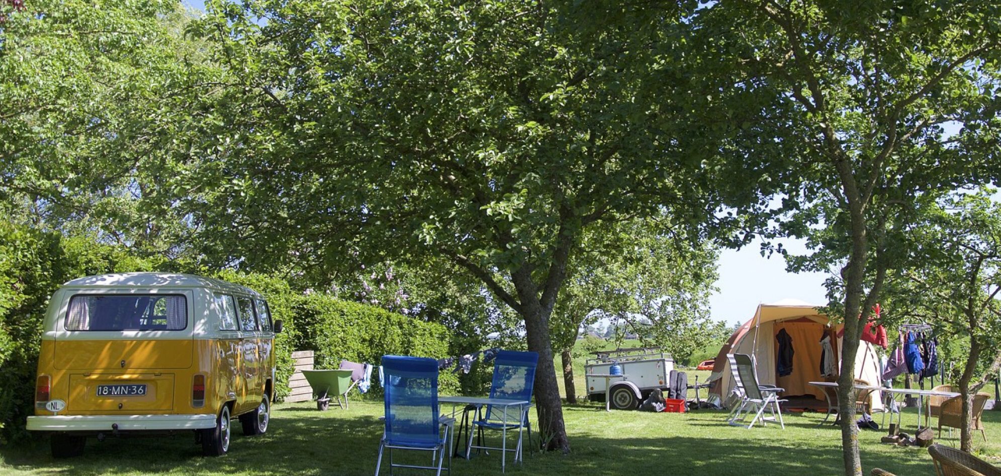 Campings Groningen: boerderijcamping Hayema Heerd Oldehove - foto van website