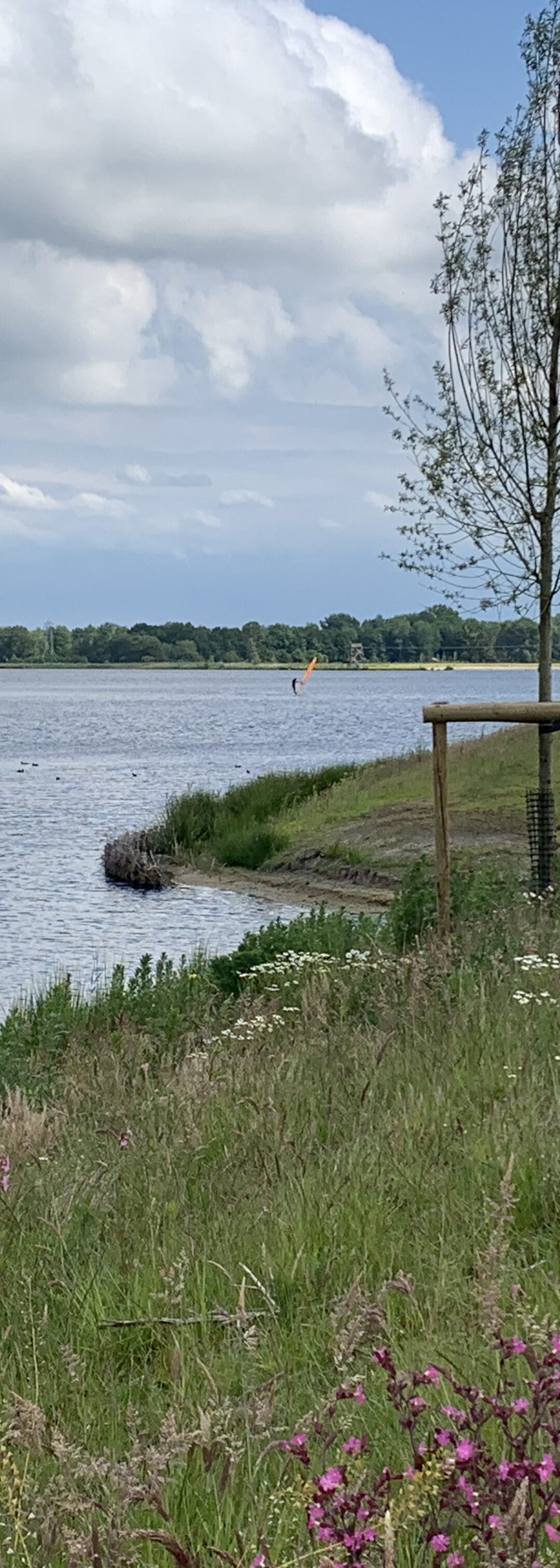 Park Meerstad - strand en surfen