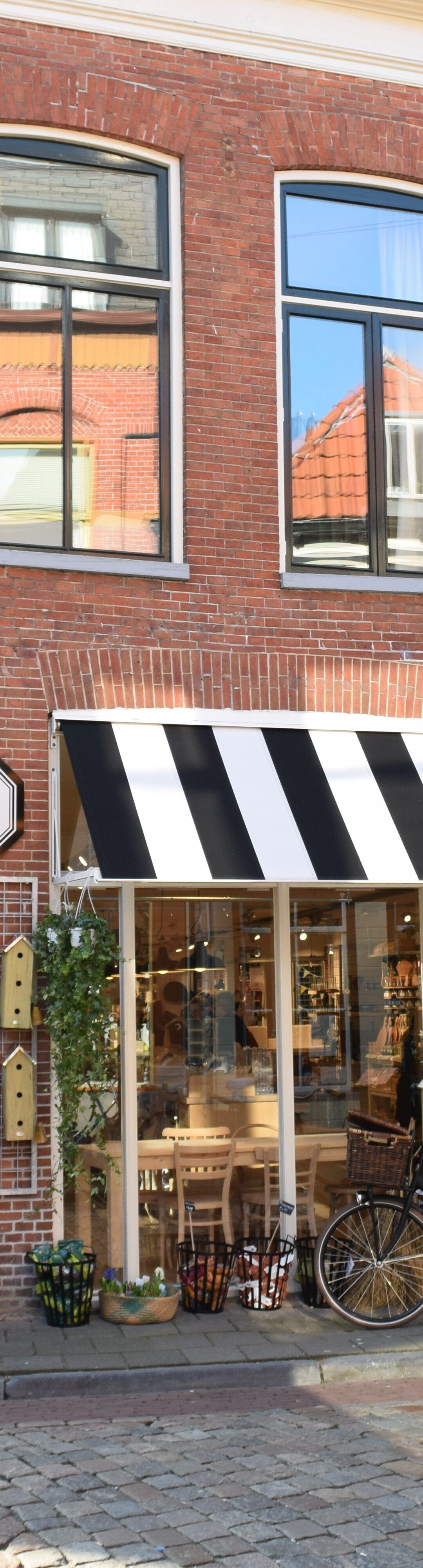 dille kamille groningen - favo theewinkel groningen