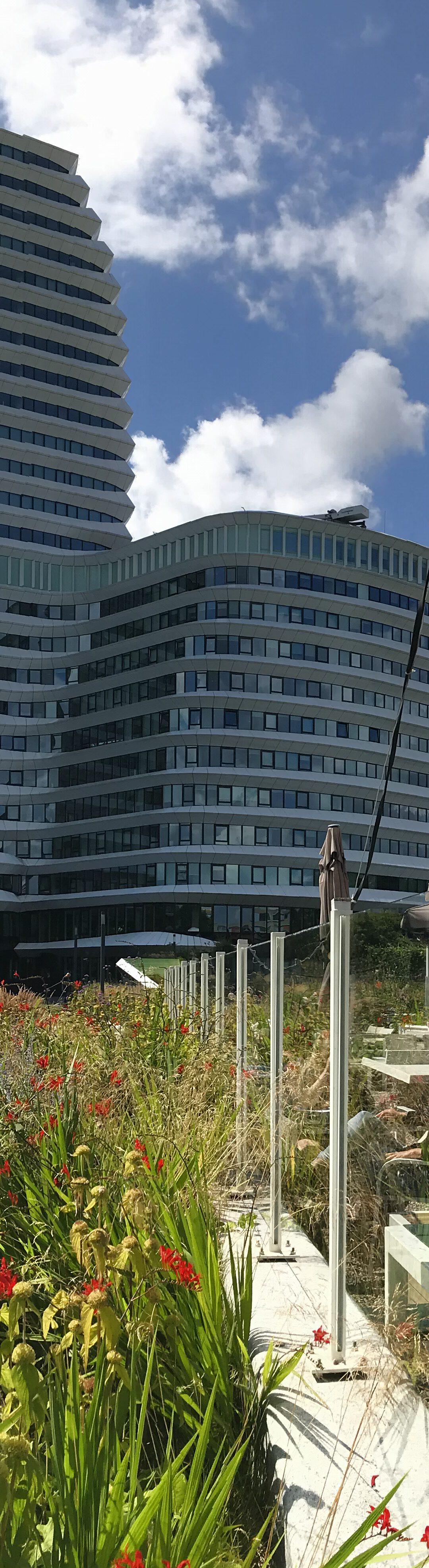 Paviljoen Sterrebos Groningen: luxe lunch en diner