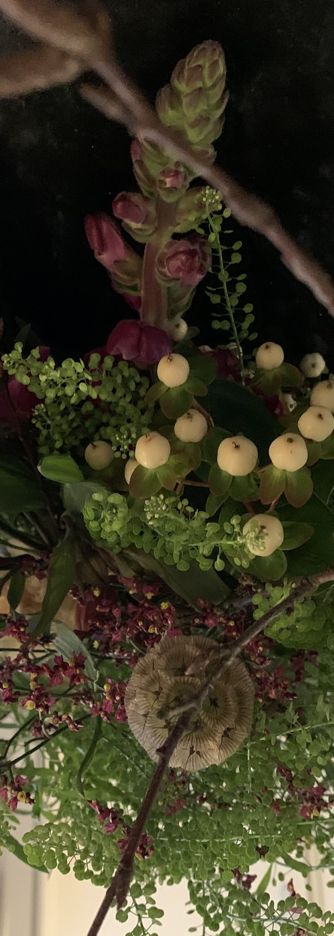 Bloemen Groningen: bloemenwinkel en bezorgen Groningen: Thuis met Bloemen