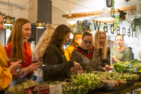 Creatieve workshop met groen: ecosysteem maken, leuk teamuitje in Groningen