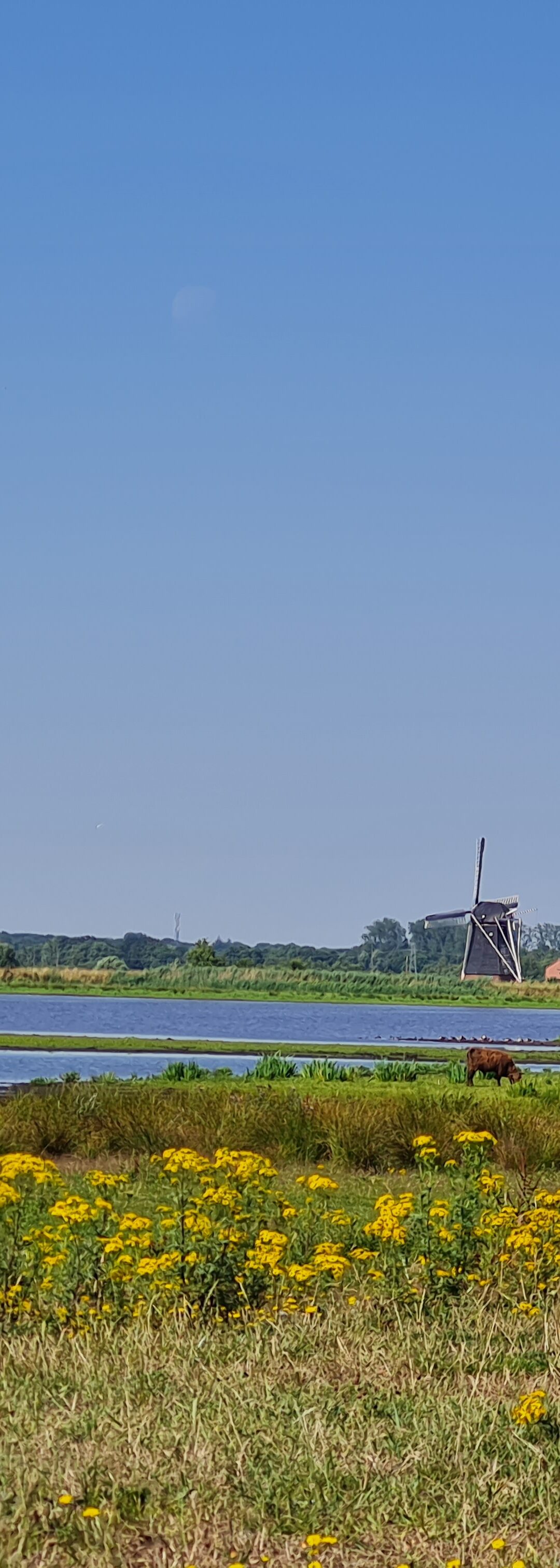 Fietsroute van Groningen naar de natuur van Westerbroekstermadepolder