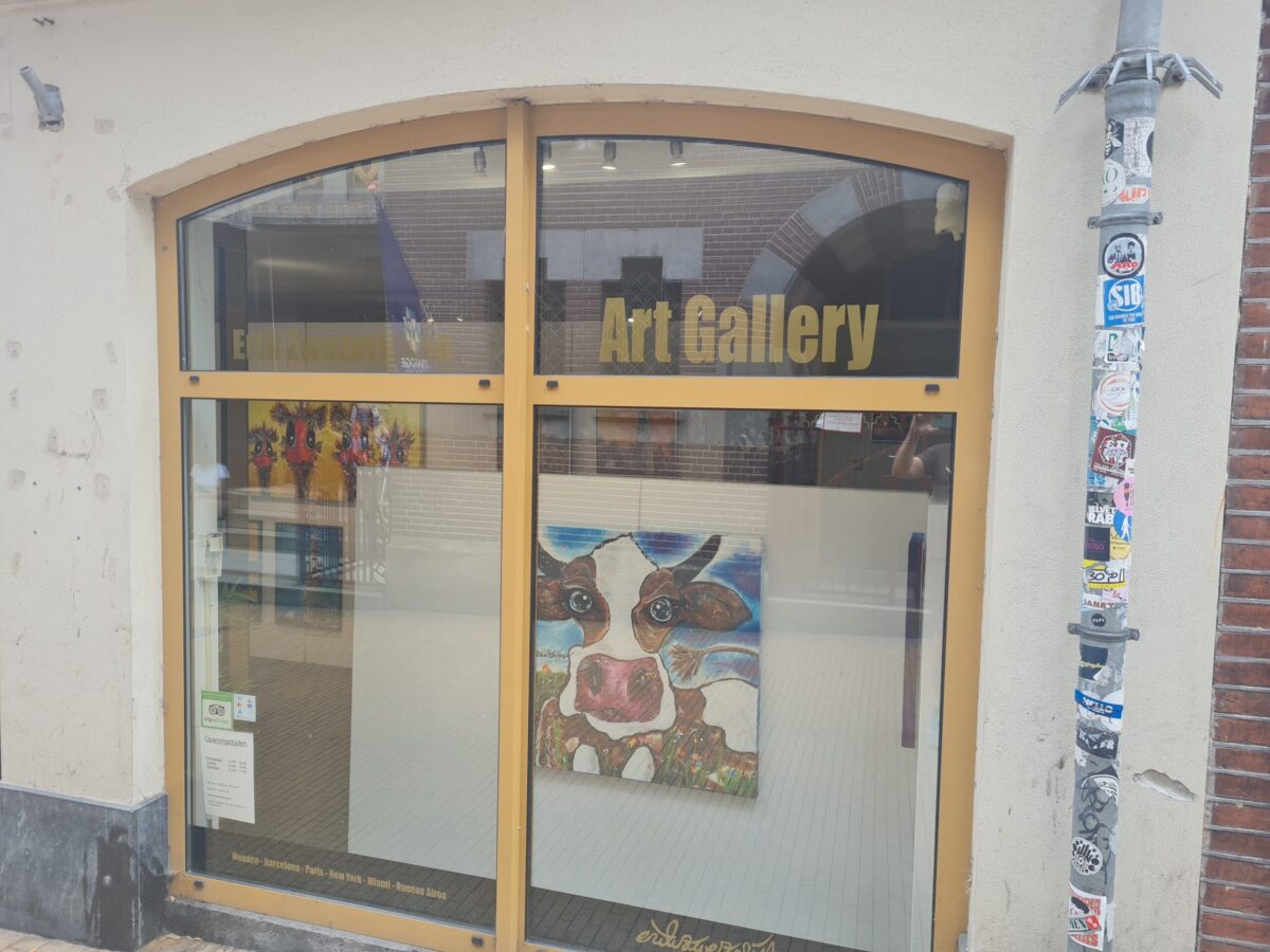 Leuke galeries en ateliers in Groningen om te bezoeken: Art Gallery Erik Zwezerijnen: kleurrijke kunst in hartje Groningen. Foto door Lieuwe Rozema